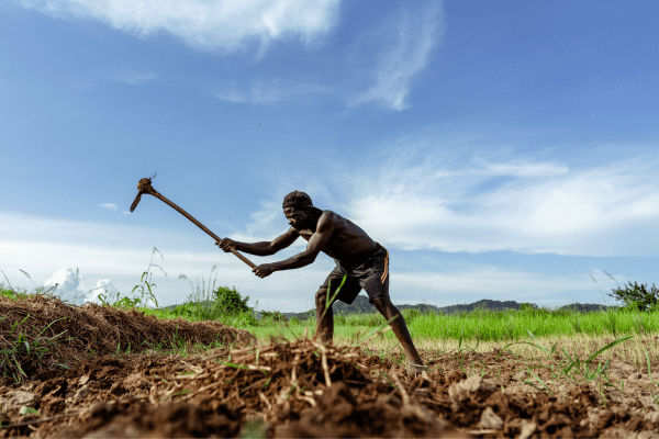 Formation agricole