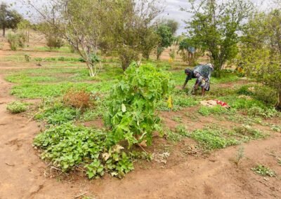 Jardins maraîchers à Saboucire : l’autonomie des femmes